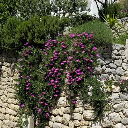 Holiday home Sunrise - Three Bedroom Omis